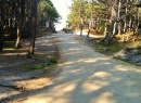 Przejscie lasem na plaże szerokie , utwardzone i oddalone od nas o 200m. (5-10 min spacerkiem )
